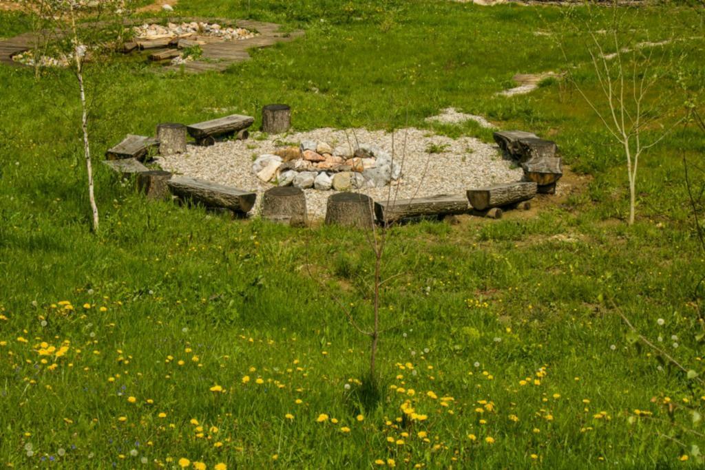 מלון Sălciua de Jos Raven'S Nest מראה חיצוני תמונה