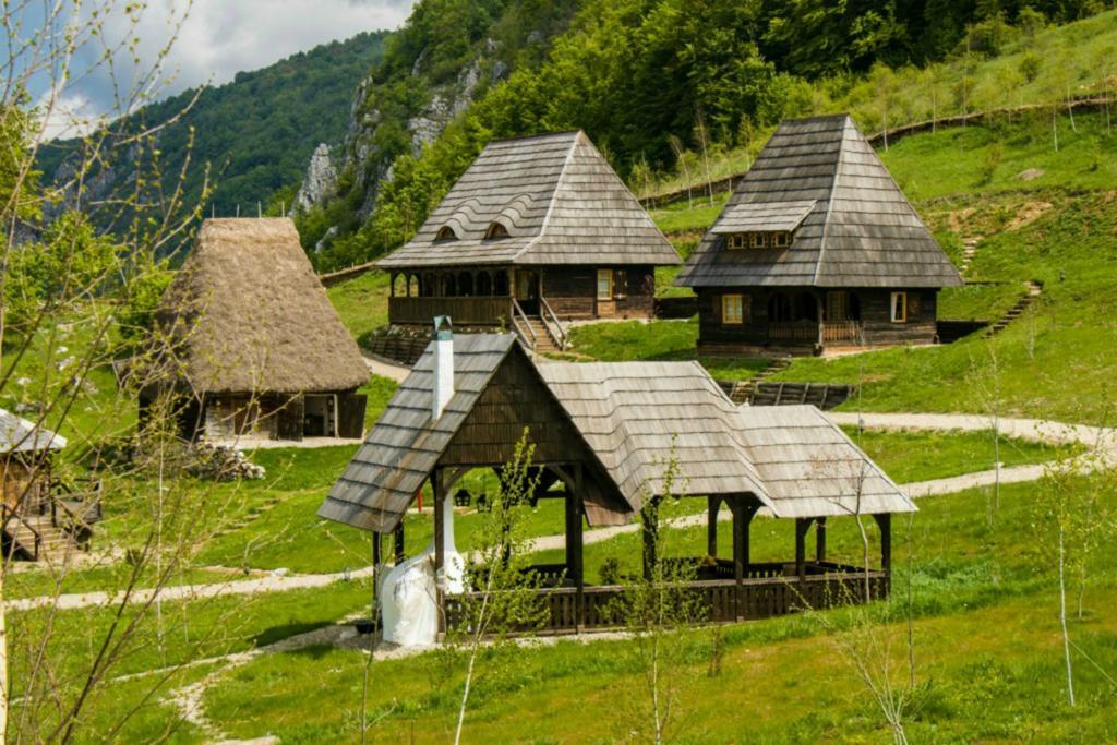 מלון Sălciua de Jos Raven'S Nest מראה חיצוני תמונה